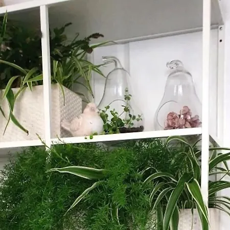 Apartman Apartament.