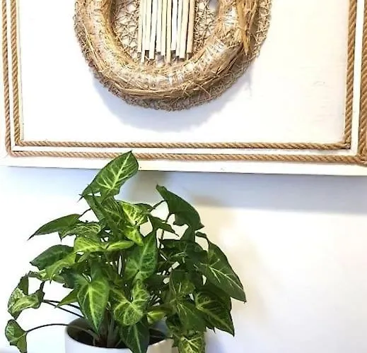 Apartament Apartament. *