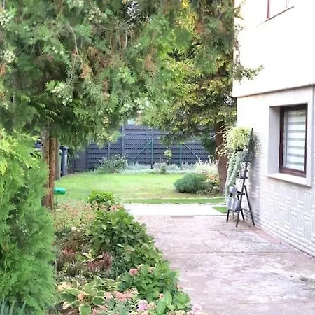 Apartament. بوزنان