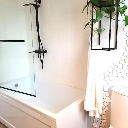 Apartament. بوزنان
