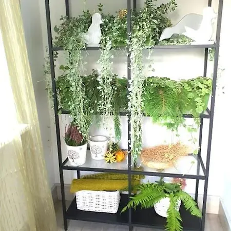 شقة Apartament. بوزنان