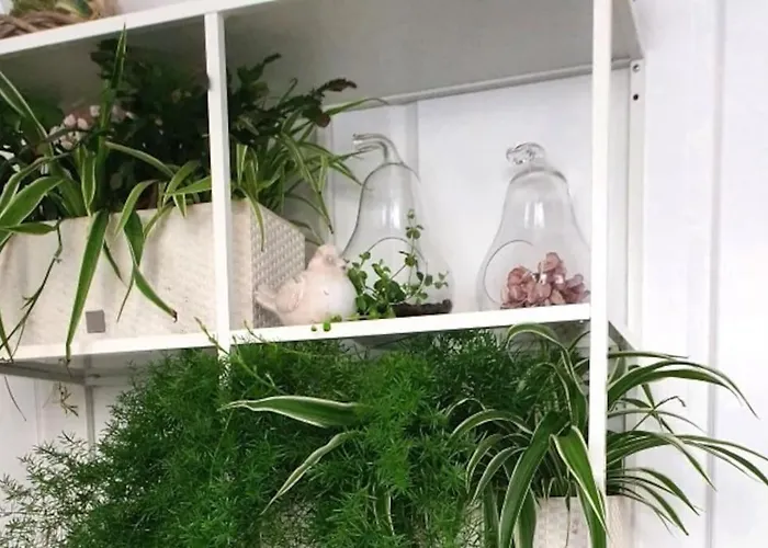 Apartment Apartament.