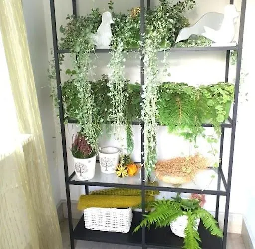 Apartment Apartament. Poznan